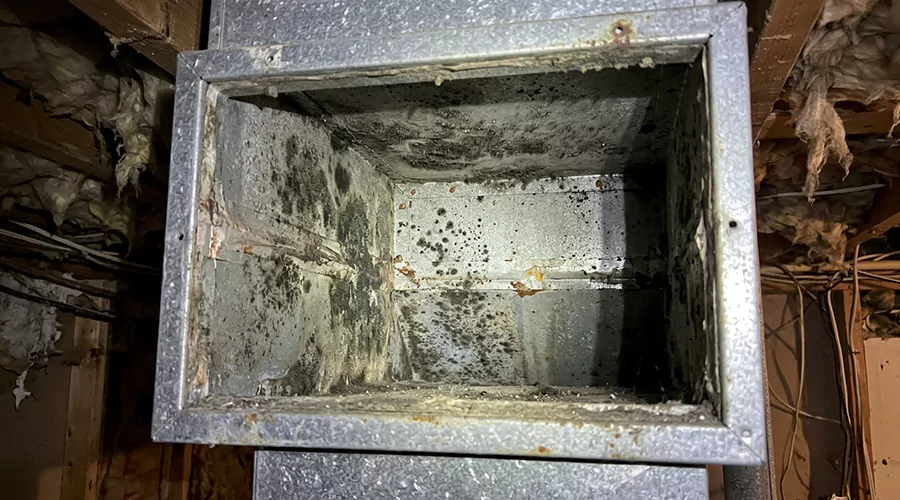What Causes Mold in HVAC Ducts?